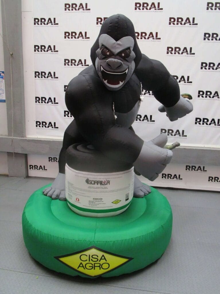 IMG 34063